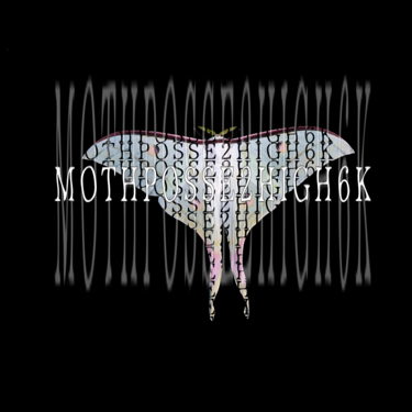 moth
